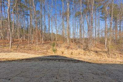 Backyard. New Homes in Cary, NC
