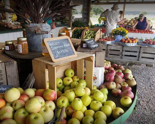 5 Farmers Markets in North Carolina You Must Check Out!